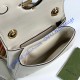 Gucci Blondie Mini Bag GU698643-cream