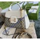 Gucci Horsebit 1955 Medium Bag GU702049CA-beige