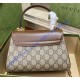 Gucci Horsebit 1955 Mini Bag GU703848CA-brown