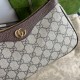 Gucci Ophidia Small Handbag GU735145CA-brown