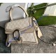 Gucci Small Dionysus Top Handle Bag GU739496CA-beige