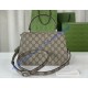 Gucci Small Dionysus Top Handle Bag GU739496CA-brown