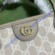 Gucci Ophidia Medium Tote Bag GU739730CA-beige