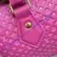 Louis Vuitton Speedy Bandoulière 20 M22286