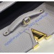 Louis Vuitton Capucines MM M42259-gray