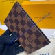 Louis Vuitton Damier Ebene Passport Cover N62089-brown