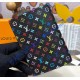 Louis Vuitton LV x TM Passport Cover M14178-black