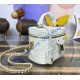 Louis Vuitton Vanity PM M25219