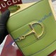Gucci 73 Small bucket bag GU833665L-green