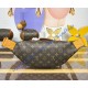 Louis Vuitton Rush Bumbag M14019