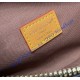 Louis Vuitton Rush Bumbag M14019