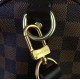 Louis Vuitton Damier Ebene Speedy 30cm with shoulder strap bandouliere N41183