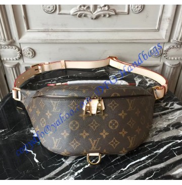 Louis Vuitton Monogram Canvas Bumbag M43644