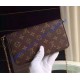 Louis Vuitton Monogram Canvas Pochette Felicie M61276