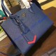 Prada Paradigme Bag Blue