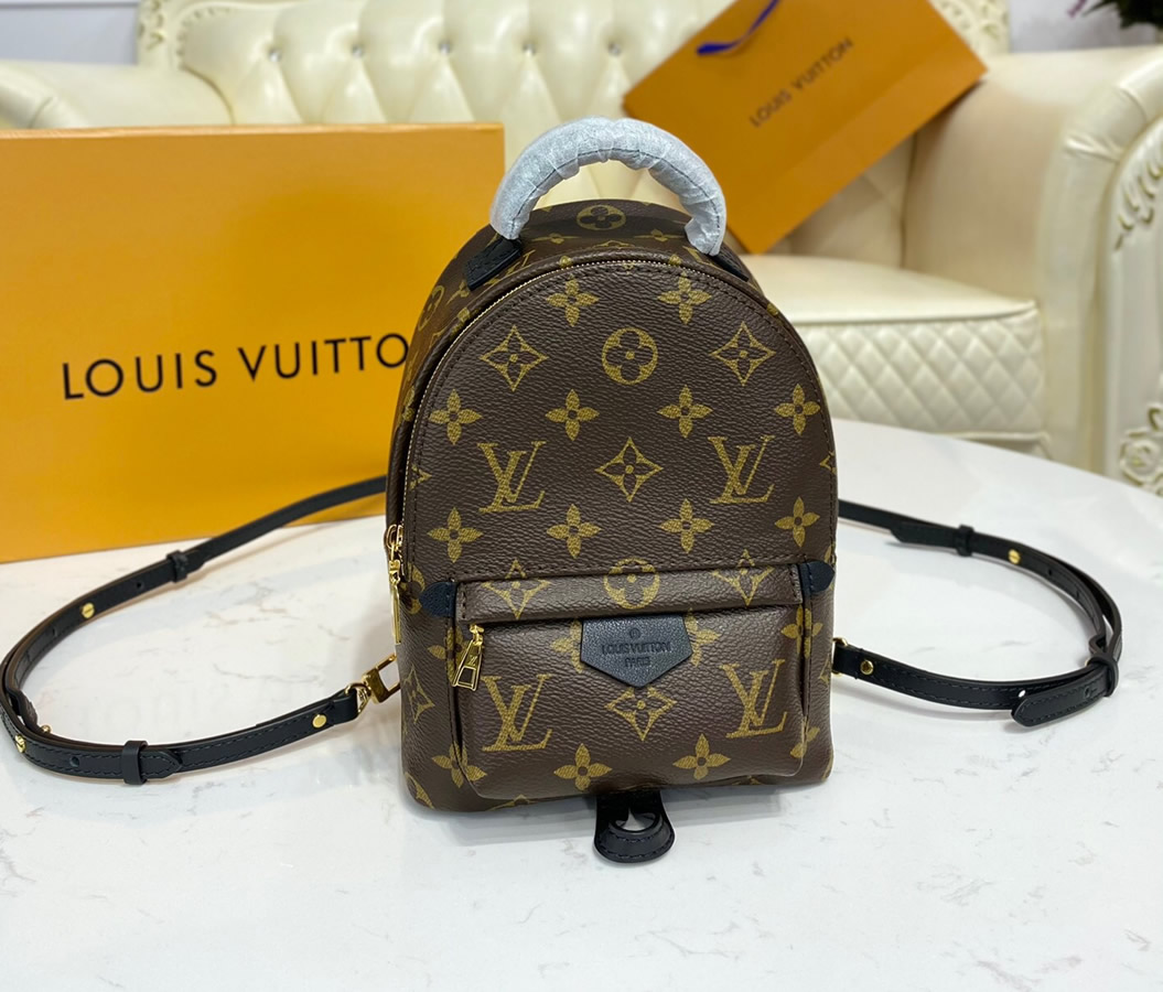 Louis Vuitton Monogram Mini Palm Springs Backpack M44873 – LuxTime DFO ...