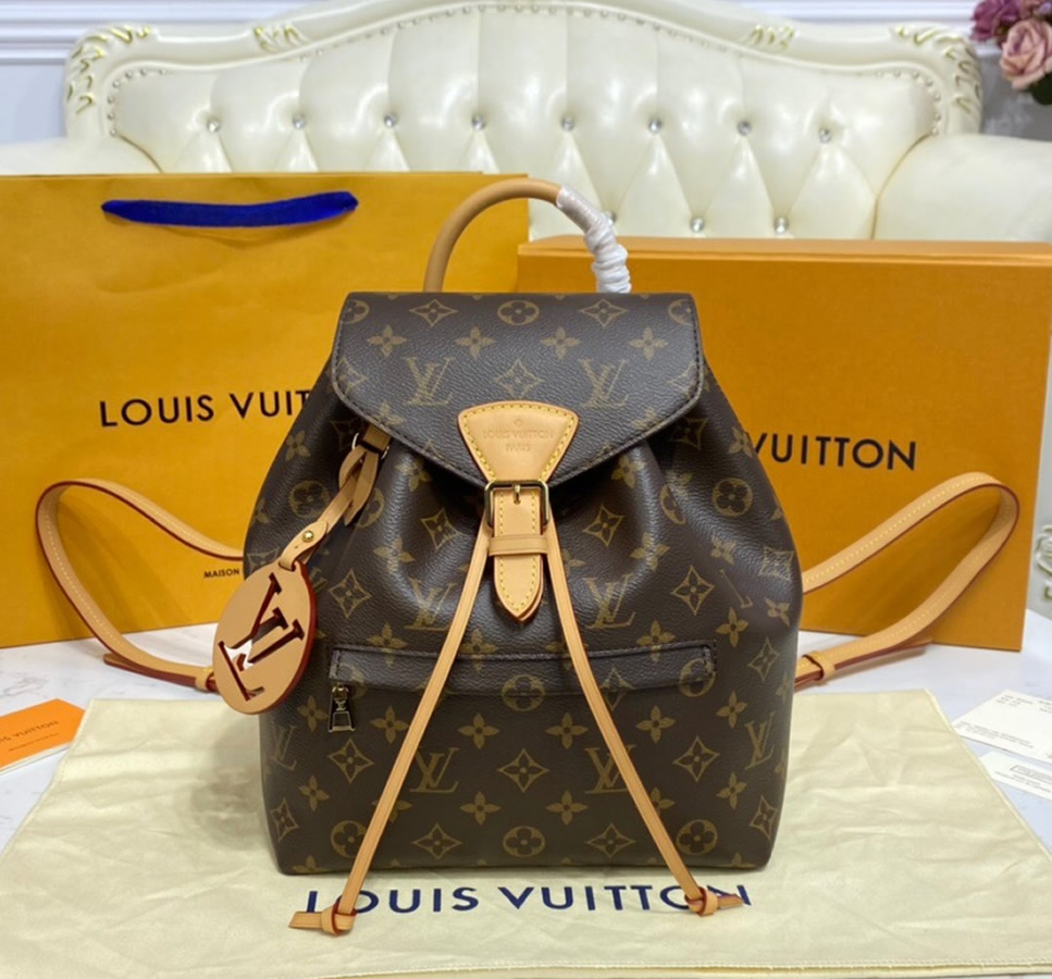 Louis Vuitton Monogram Canvas Montsouris PM M45501 – LuxTime DFO Handbags